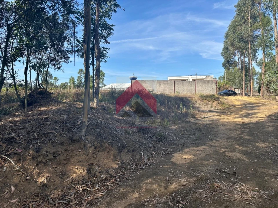 Terreno para Venda em Oiã Foto 10