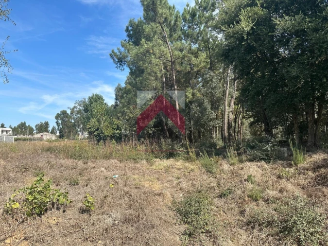 Terreno para Venda em Oiã Foto 3