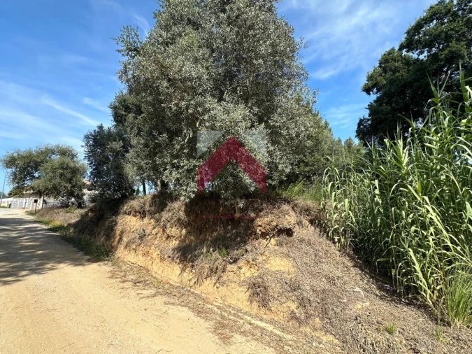 Terreno para Venda em Oiã Foto 6