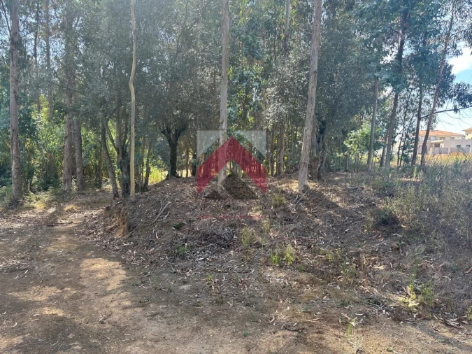 Terreno para Venda em Oiã Foto 8
