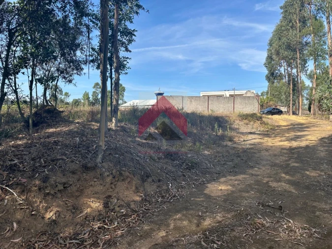 Terreno para Venda em Oiã Foto 10
