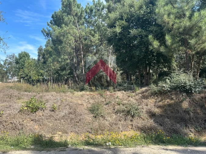 Terreno para Venda em Oiã Foto 14