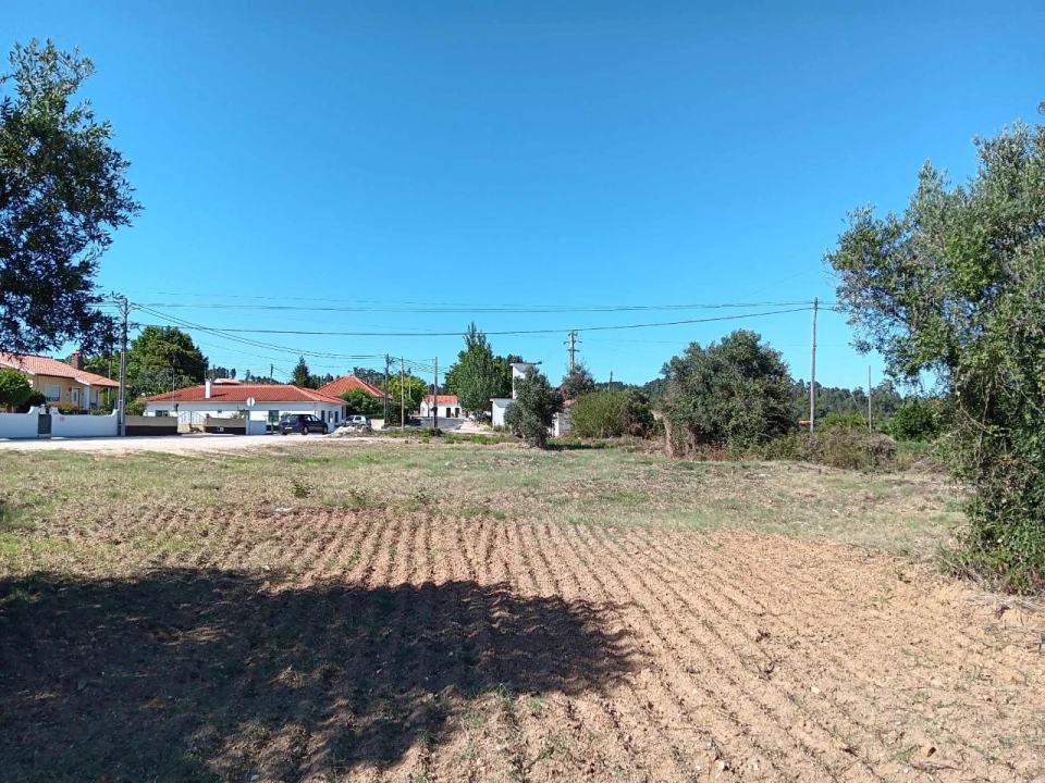 Terreno para Venda em Asseiceira Foto 6