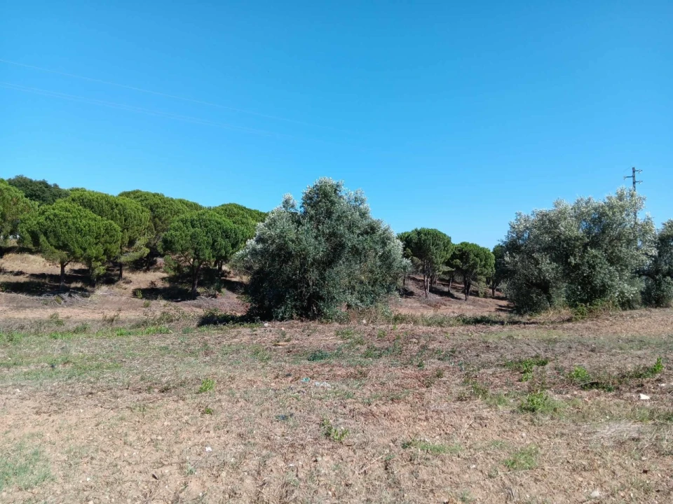 Terreno para Venda em Asseiceira Foto 9