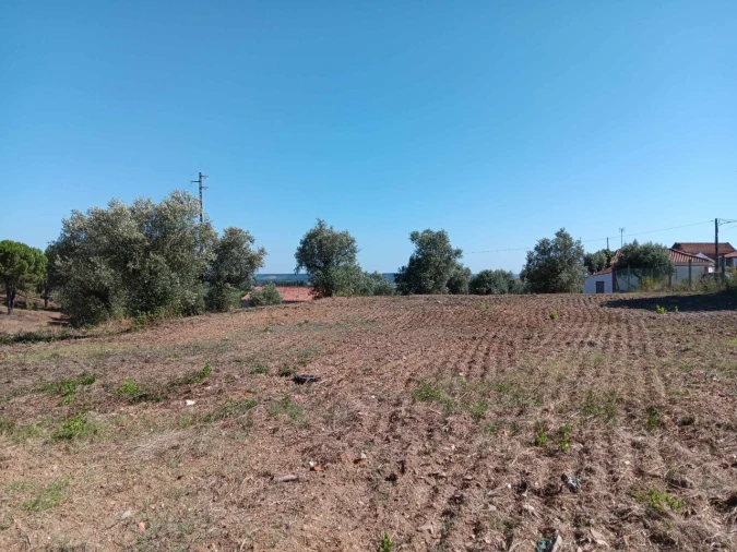 Terreno para Venda em Asseiceira Foto 5