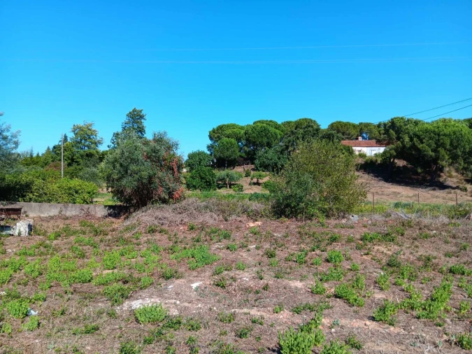 Terreno para Venda em Asseiceira Foto 7