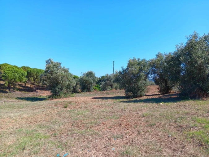 Terreno para Venda em Asseiceira Foto 8