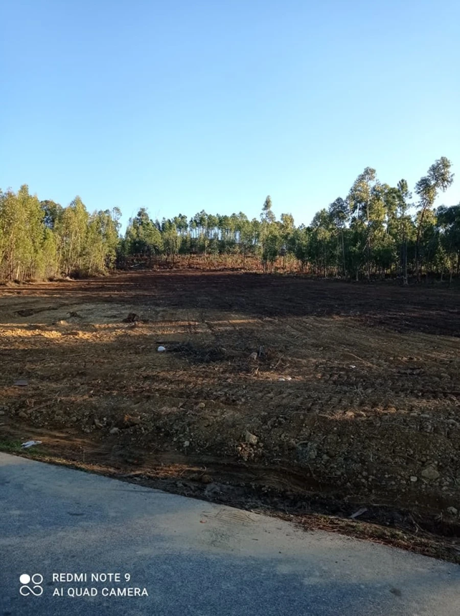 Terreno para Venda em Mação, Penhascoso e Aboboreira Foto 6