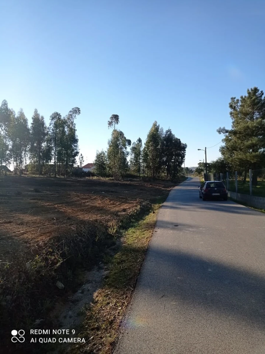 Terreno para Venda em Mação, Penhascoso e Aboboreira Foto 7