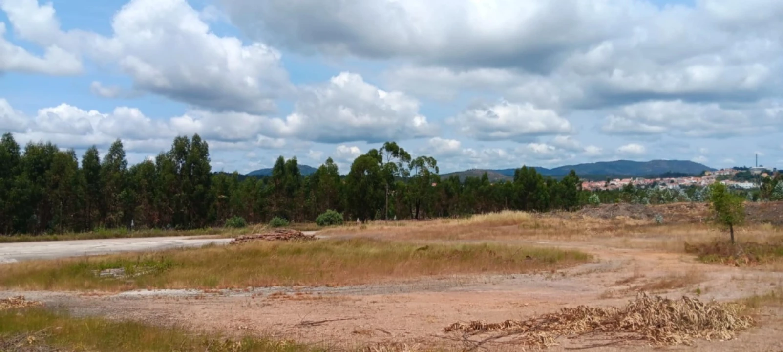 Terreno para Arrendamento em Mação, Penhascoso e Aboboreira Foto 11