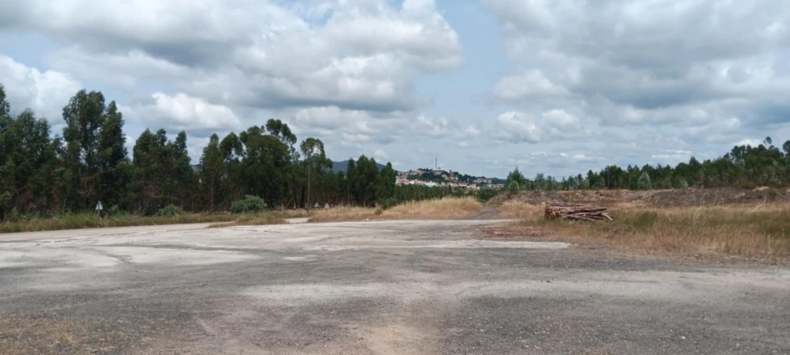 Terreno para Arrendamento em Mação, Penhascoso e Aboboreira Foto 3