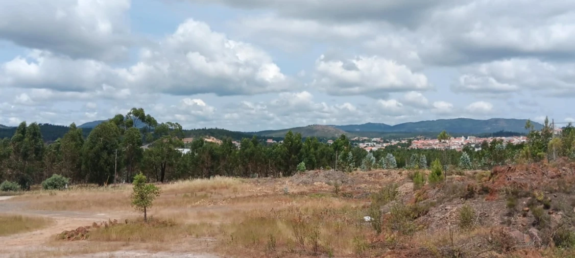 Terreno para Arrendamento em Mação, Penhascoso e Aboboreira Foto 10