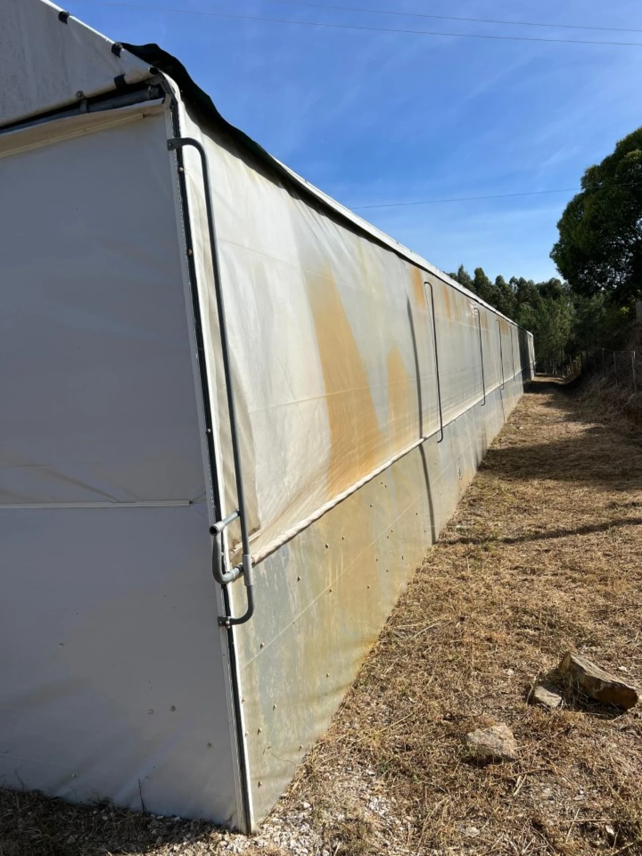 Terreno para Arrendamento em Alcaravela Foto 5