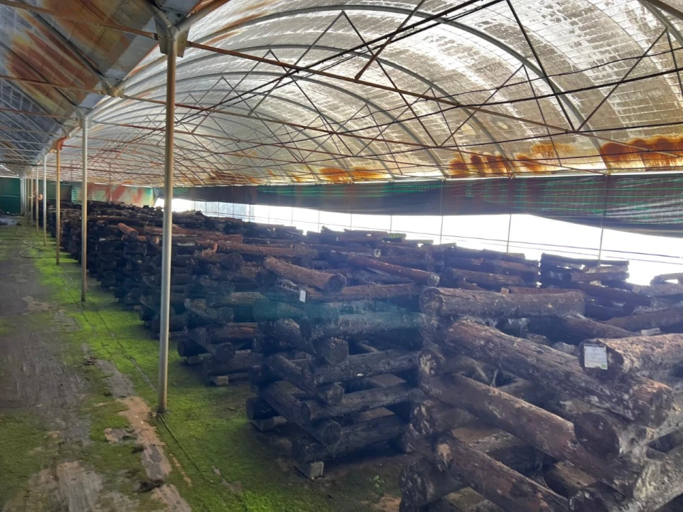 Terreno para Arrendamento em Alcaravela Foto 8