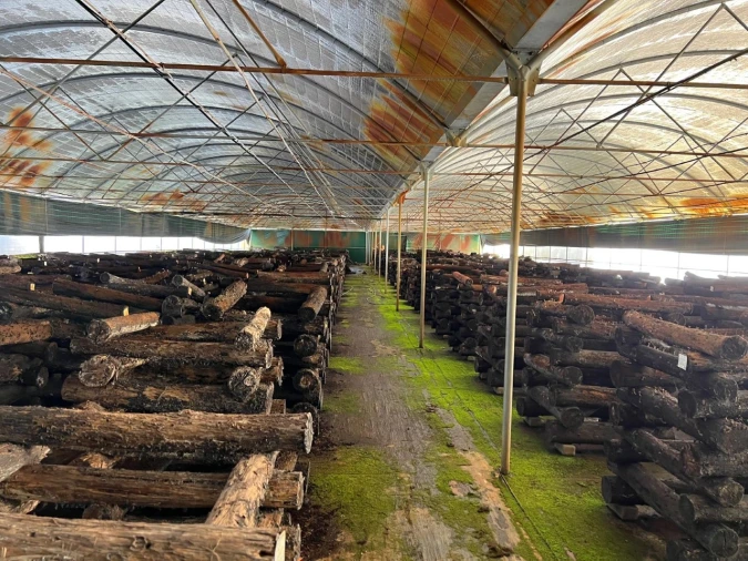 Terreno para Arrendamento em Alcaravela Foto 2