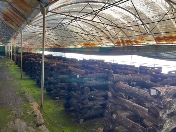 Terreno para Arrendamento em Alcaravela Foto 8