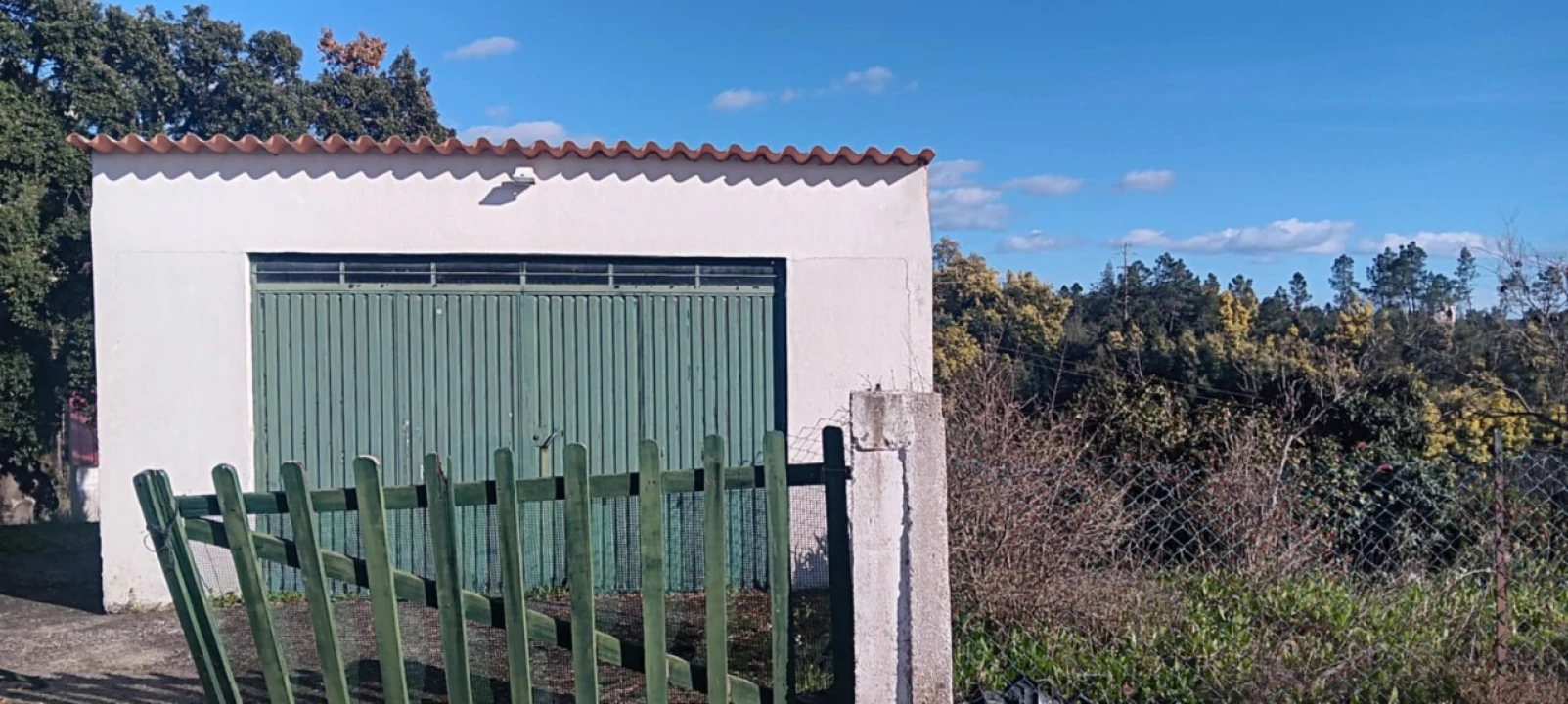 Terreno para Venda em Carvoeiro Foto 8