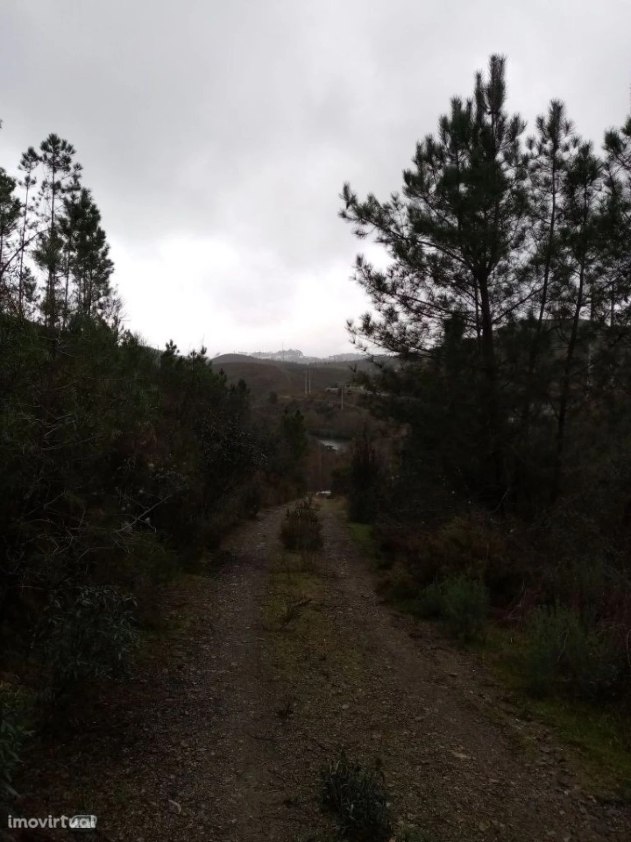 Terreno para Venda em Belver Foto 12