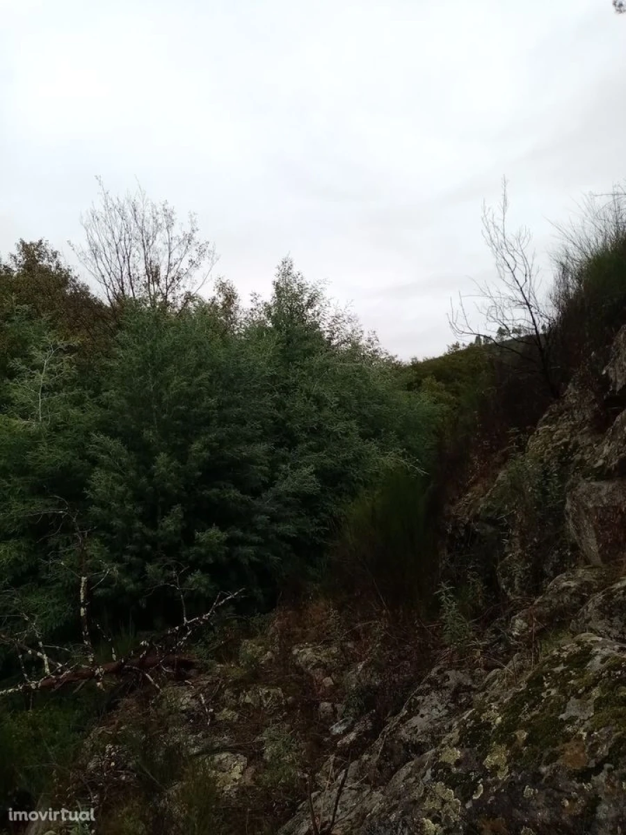 Terreno para Venda em Belver Foto 4