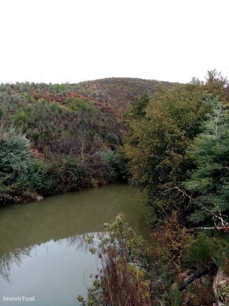 Terreno para Venda em Belver Foto 8