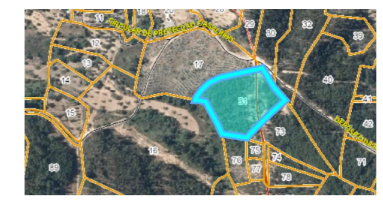 Terreno para Venda em Cardigos Foto 5