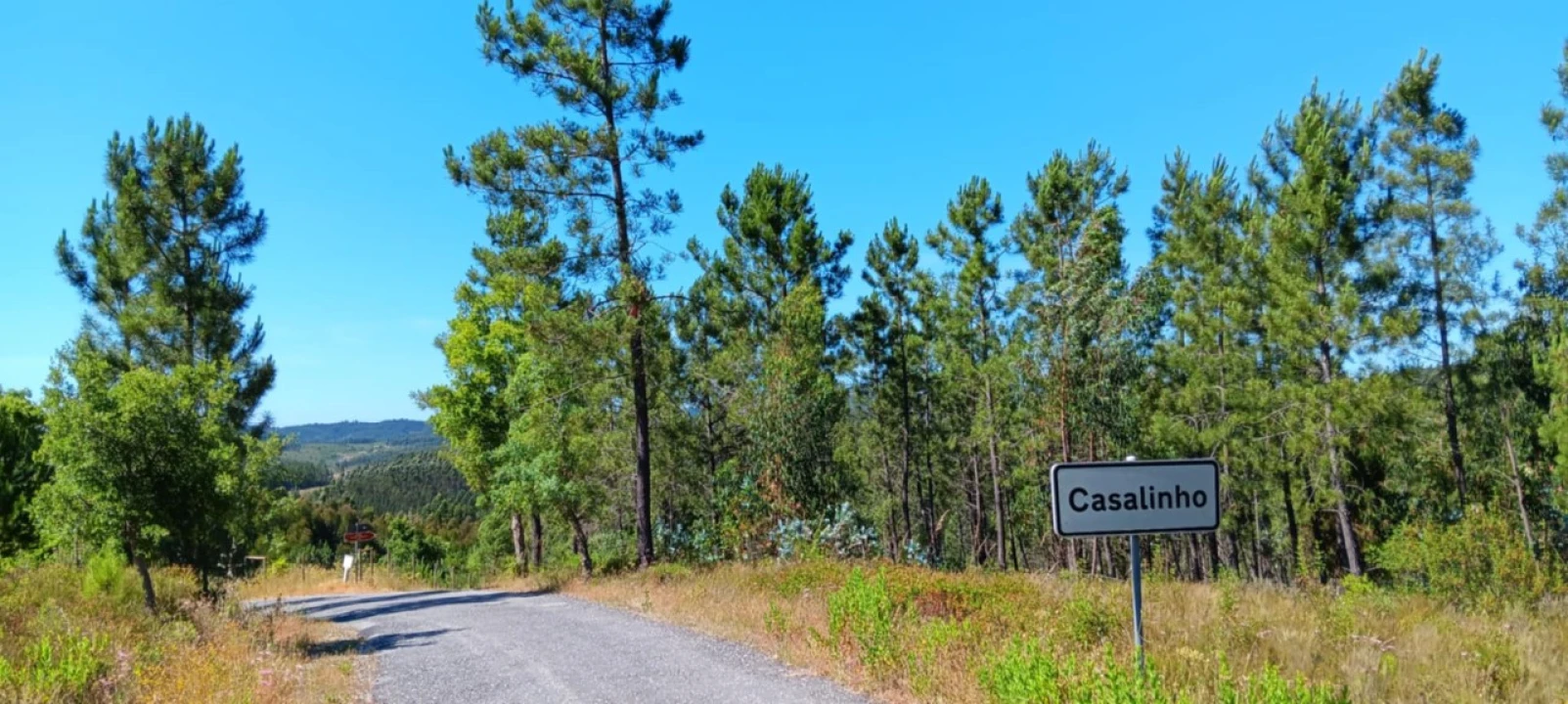 Terreno para Venda em Cardigos Foto 1