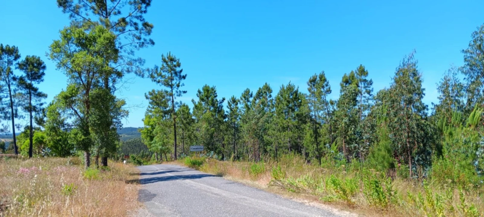 Terreno para Venda em Cardigos Foto 2