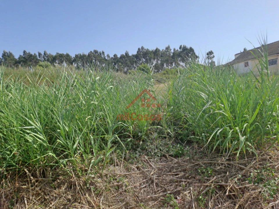 Terreno para Venda em A dos Cunhados e Maceira Foto 9