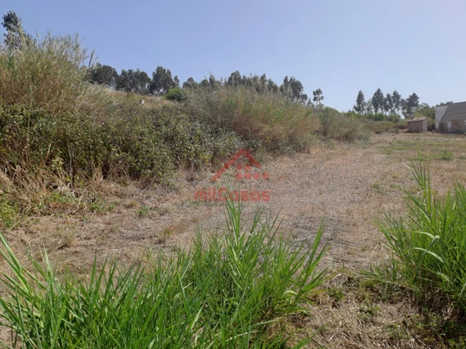 Terreno para Venda em A dos Cunhados e Maceira Foto 8
