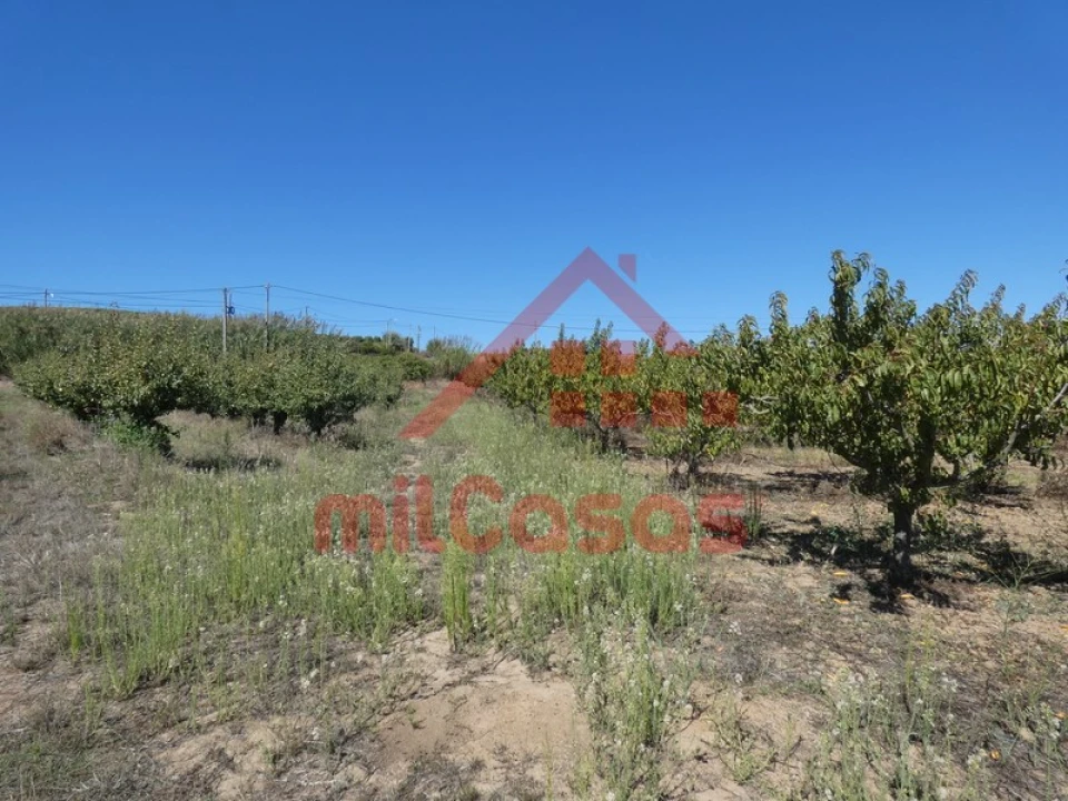 Terreno para Venda em Azueira e Sobral da Abelheira Foto 19