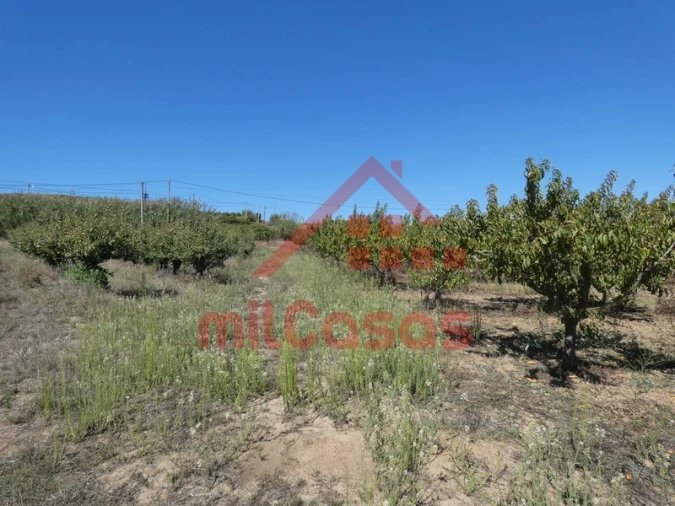 Terreno para Venda em Azueira e Sobral da Abelheira Foto 19