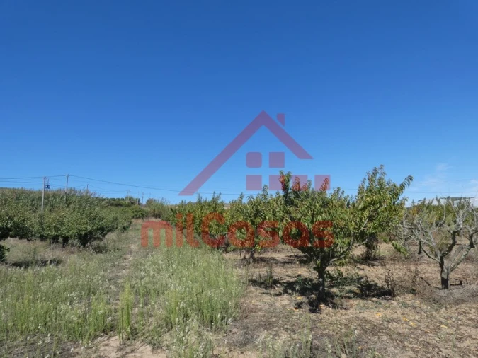 Terreno para Venda em Azueira e Sobral da Abelheira Foto 21