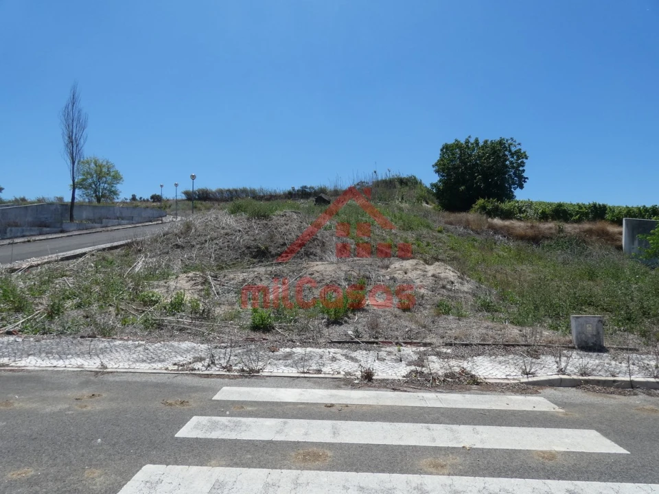 Terreno para Venda em Carvoeira e Carmões Foto 10