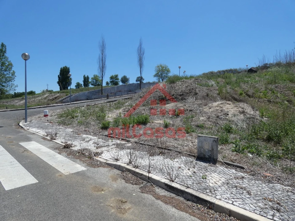 Terreno para Venda em Carvoeira e Carmões Foto 12