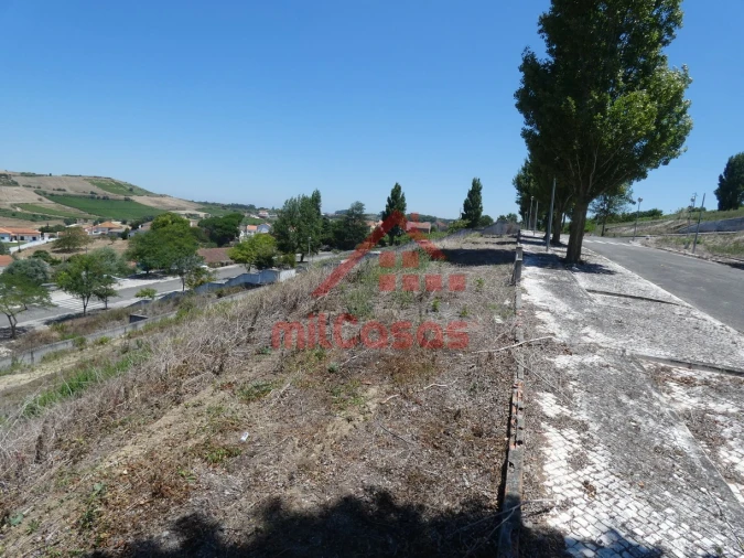 Terreno para Venda em Carvoeira e Carmões Foto 2