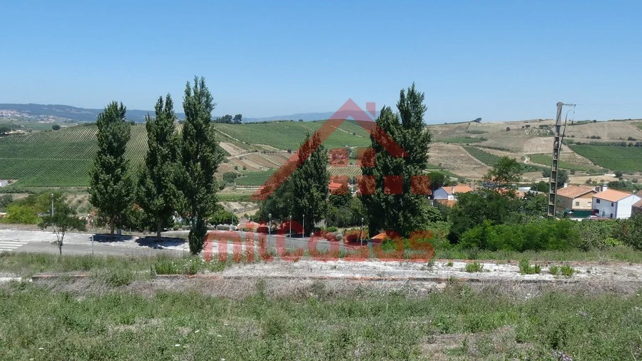 Terreno para Venda em Carvoeira e Carmões
