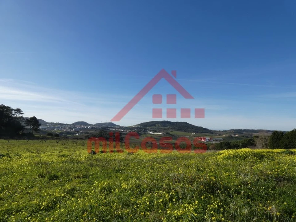 Terreno para Venda em Azueira e Sobral da Abelheira Foto 3