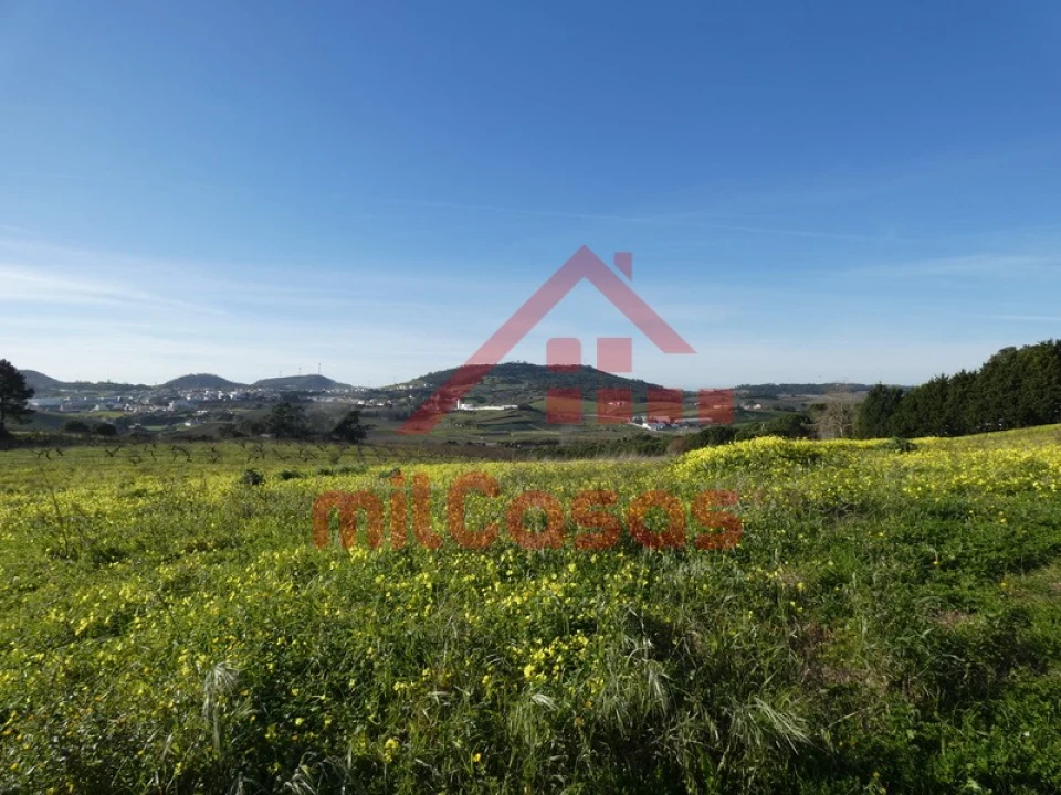 Terreno para Venda em Azueira e Sobral da Abelheira Foto 6