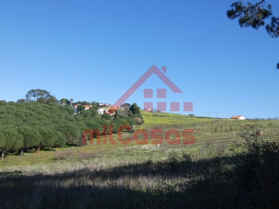 Terreno para Venda em Azueira e Sobral da Abelheira Foto 26