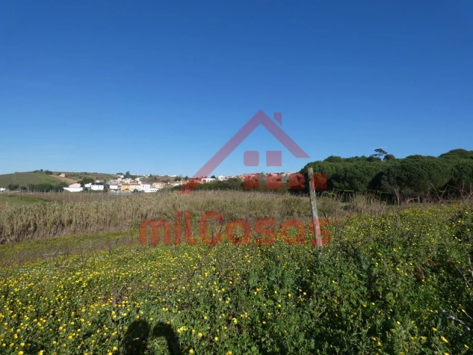 Terreno para Venda em Azueira e Sobral da Abelheira Foto 33