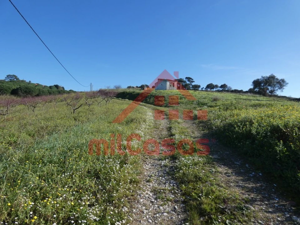 Terreno para Venda em Azueira e Sobral da Abelheira Foto 47