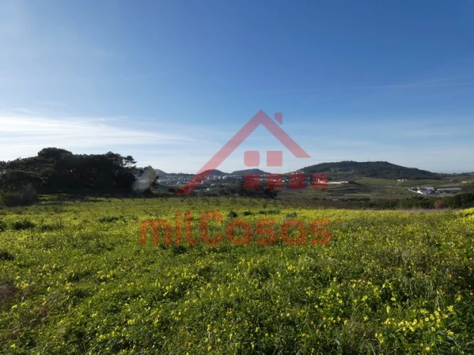 Terreno para Venda em Azueira e Sobral da Abelheira Foto 5