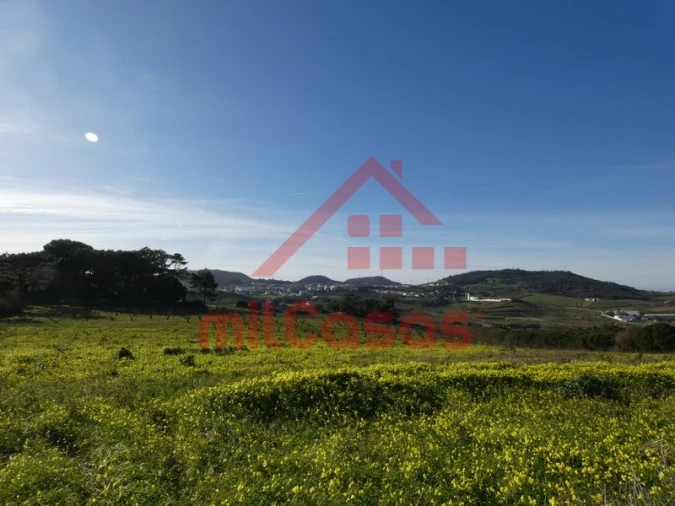 Terreno para Venda em Azueira e Sobral da Abelheira Foto 10