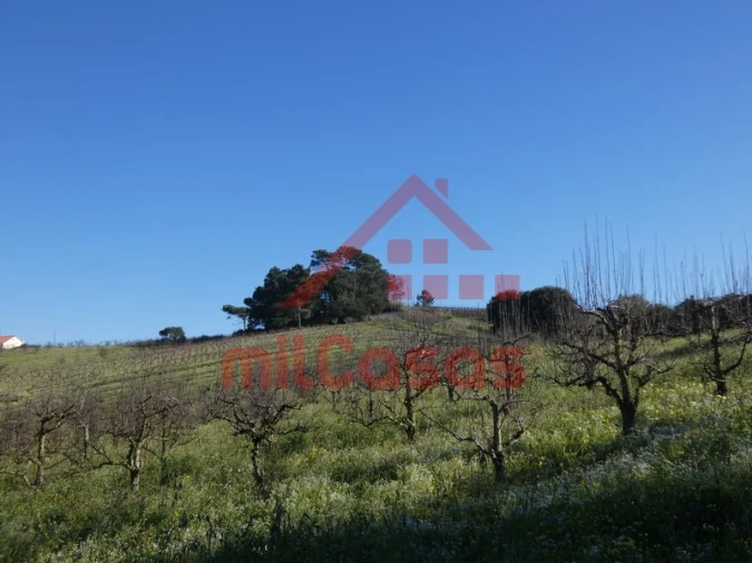 Terreno para Venda em Azueira e Sobral da Abelheira Foto 19