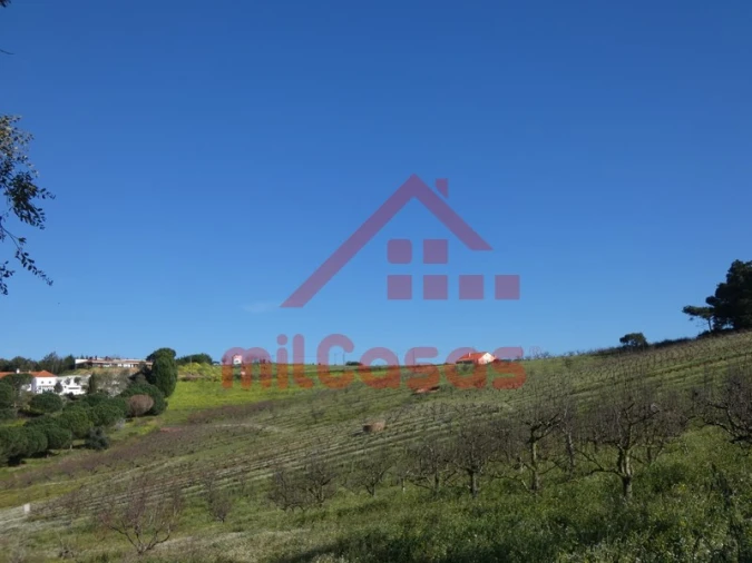 Terreno para Venda em Azueira e Sobral da Abelheira Foto 22