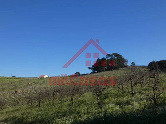 Terreno para Venda em Azueira e Sobral da Abelheira Foto 23