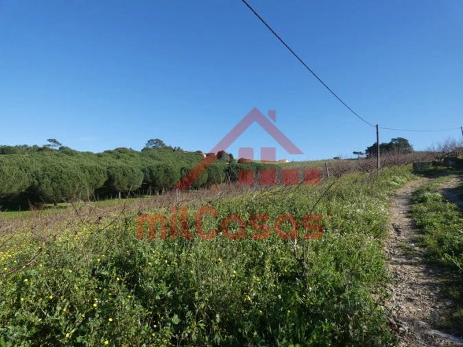 Terreno para Venda em Azueira e Sobral da Abelheira Foto 34