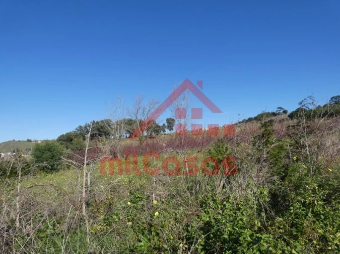 Terreno para Venda em Azueira e Sobral da Abelheira Foto 44