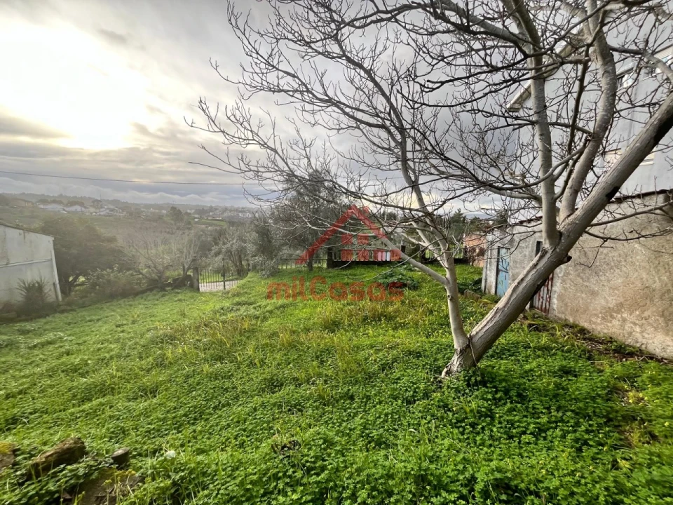 Terreno para Venda em Santa Clara e Castelo Viegas Foto 8
