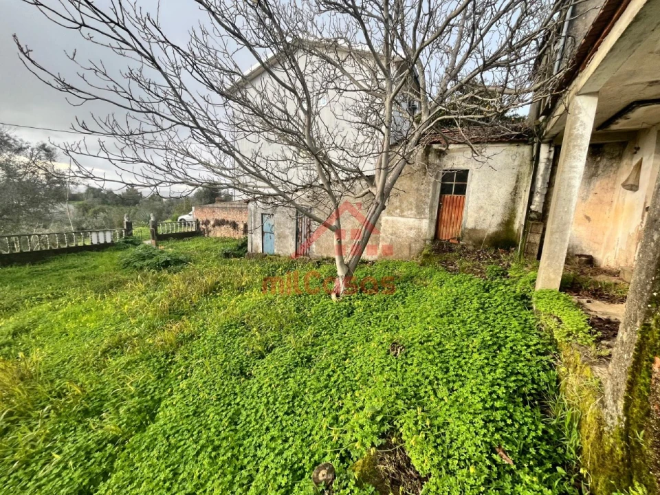 Terreno para Venda em Santa Clara e Castelo Viegas Foto 14